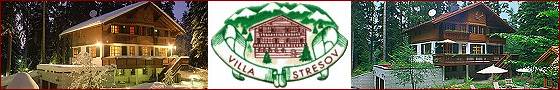 Villa Stresov - Borovets Bulgaria Ski Chalet