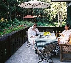 Breakfast overlooking Villa Stresov's garden and gazebo.
