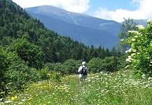 Rila National Park