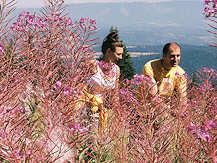 Spring Special - Buy 2 Nights Get 3rd Night Free